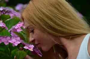 Duft der Blume