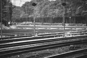 eisernes Spinnennetz SW
